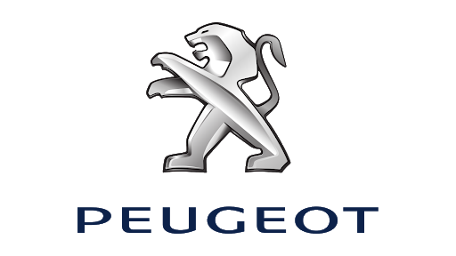 PEUGEOT Soket Grubu